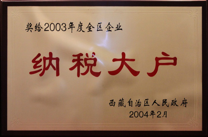 2004纳税大户