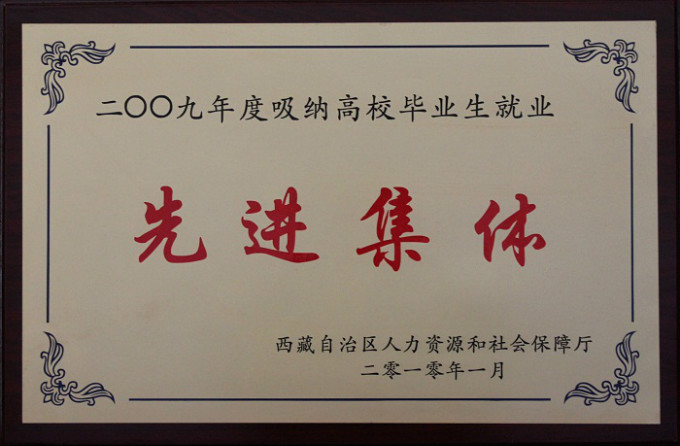 2009吸纳高校毕业生就业先进集体