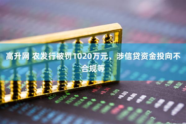 高升网 农发行被罚1020万元，涉信贷资金投向不合规等
