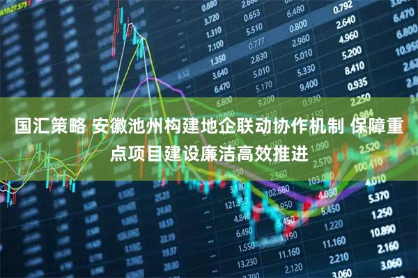 国汇策略 安徽池州构建地企联动协作机制 保障重点项目建设廉洁高效推进