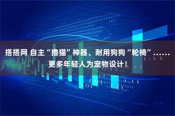 搭搭网 自主“撸猫”神器、耐用狗狗“轮椅”……更多年轻人为宠物设计！